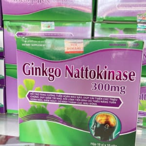 BỔ NÃO GINKGO NATTOKINASE LƯU THÔNG MÁU HIỆU QUẢ